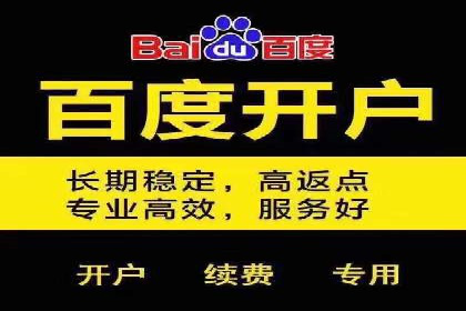 百度竞价代理的运营策略与成功案例分析